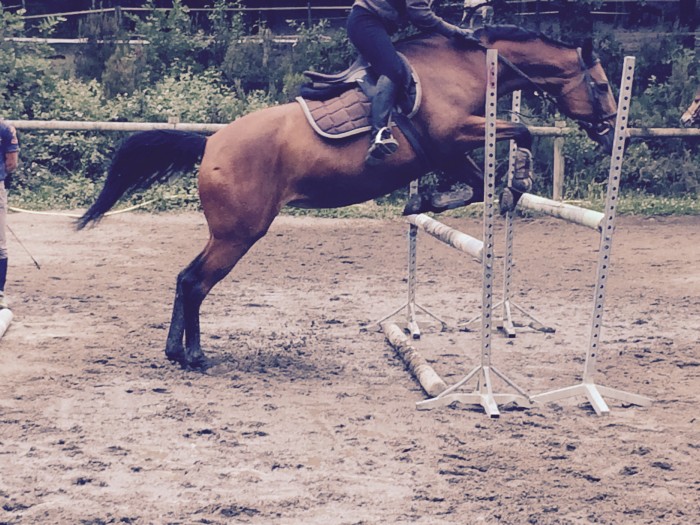 Photo de profil de petitejade31