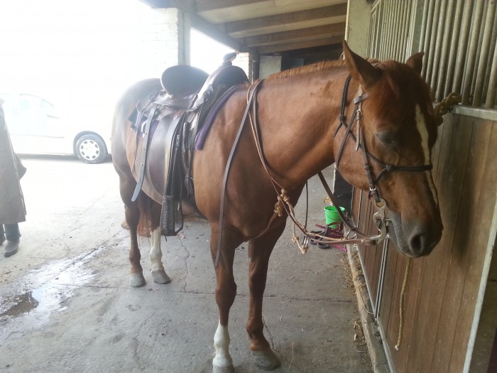 Photo de profil de philours