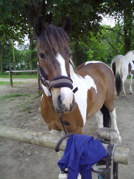 Photo de profil de picasso_lpb