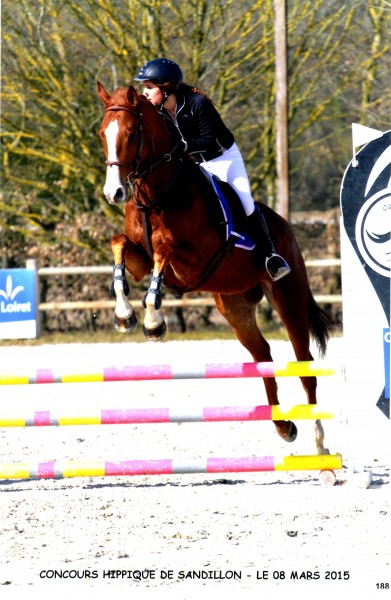 Photo de profil de pikachu45