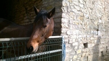 Photo de profil de pirouette21