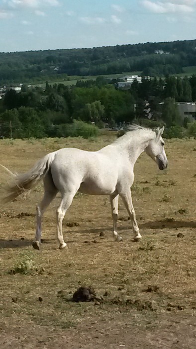 Photo de profil de platonne