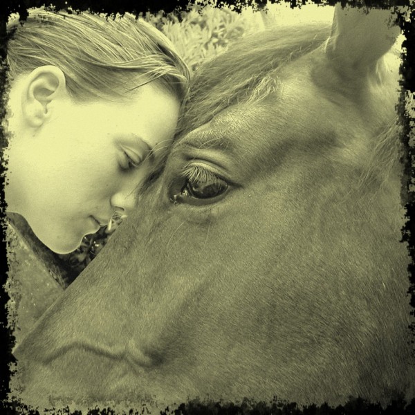 Photo de profil de poillux