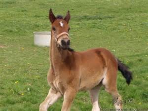 Photo de profil de poneyyytte