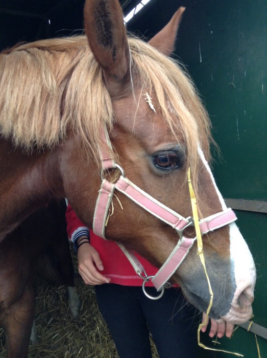Photo de profil de qaoulmimi
