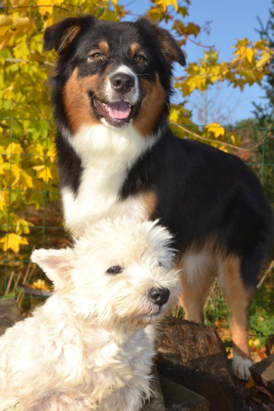 Photo de profil de qidd18