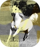 Photo de profil de quado