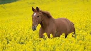 Photo de profil de queendesgrange