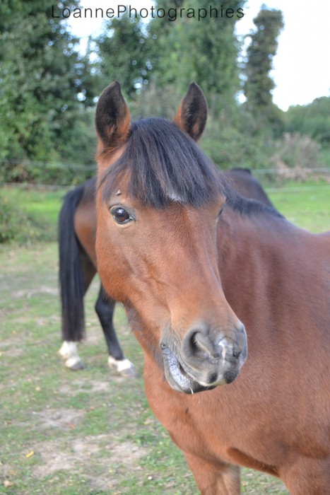 Photo de profil de quenotte.loanne