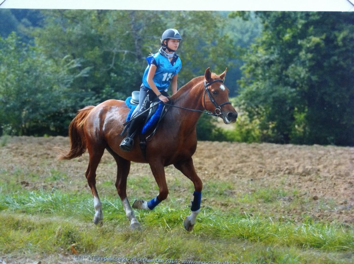 Photo de profil de rapfau_21