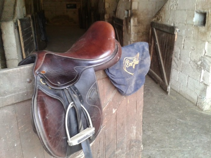 Photo de profil de rhesus