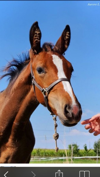 Photo de profil de rico35