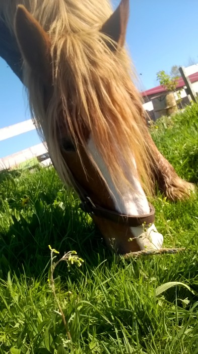 Photo de profil de rigolette85