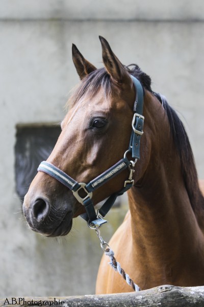 Photo de profil de riolait