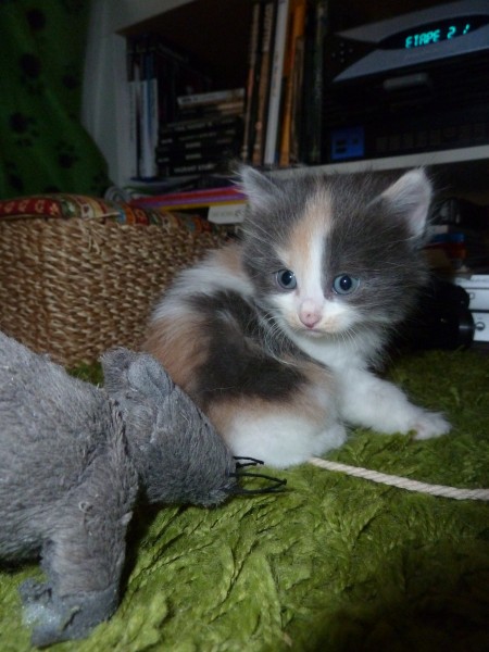 Photo de profil de rivendell