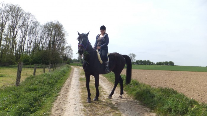 Photo de profil de rodeodesobeaux