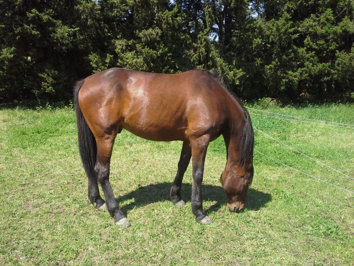 Photo de profil de rodeofive84
