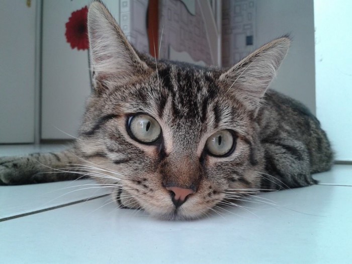Photo de profil de roll_on