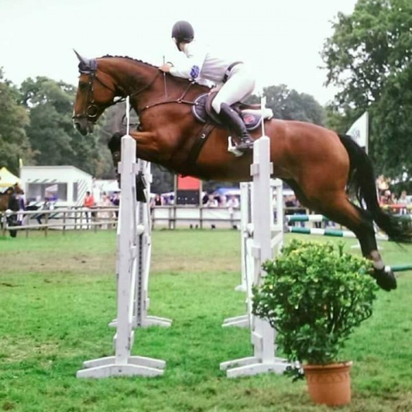 Photo de profil de rosemarycl