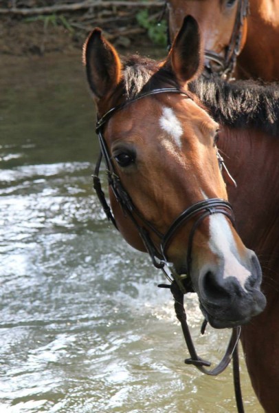 Photo de profil de roxane.m