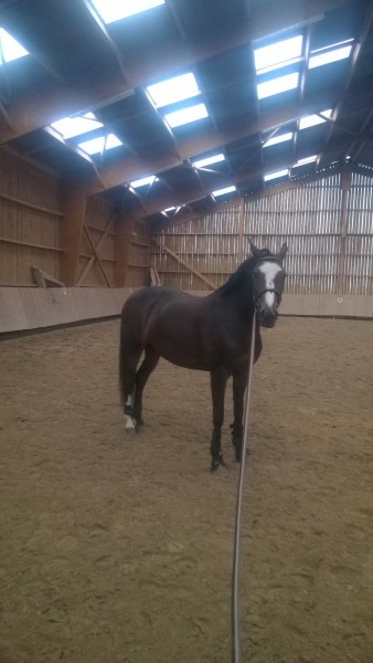 Photo de profil de roxanne11