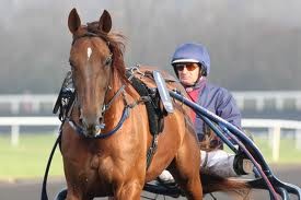 Photo de profil de royaldream
