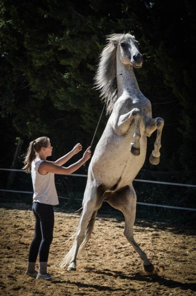 Photo de profil de rprebecca