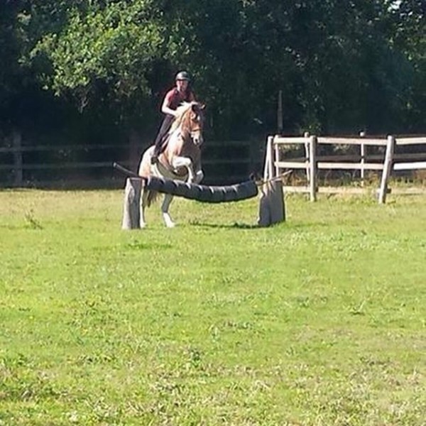 Photo de profil de rwenorses