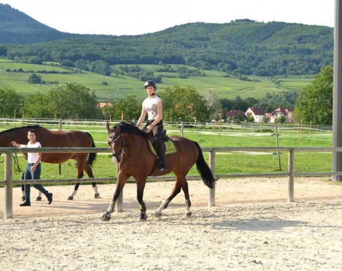 Photo de profil de rxnz