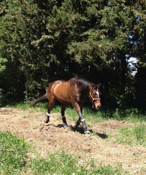 Photo de profil de sassou84