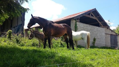 Photo de profil de sdfc