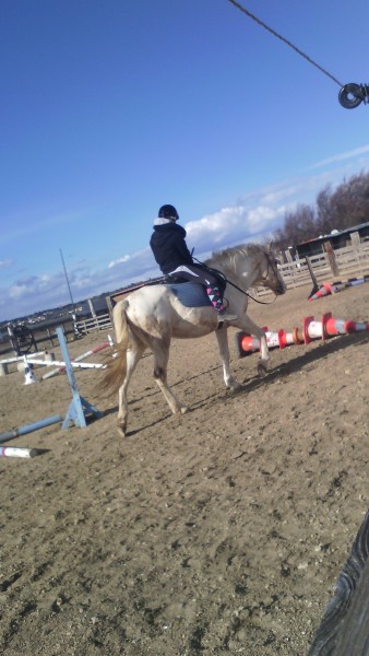 Photo de profil de segolene11