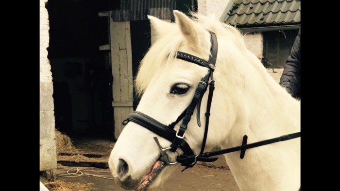 Photo de profil de selmafiona