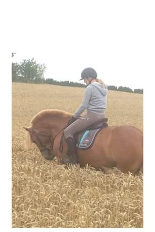 Photo de profil de shanon.titeuf