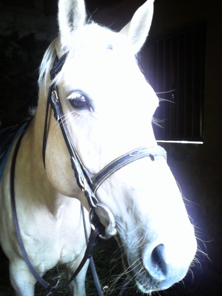 Photo de profil de siloe.