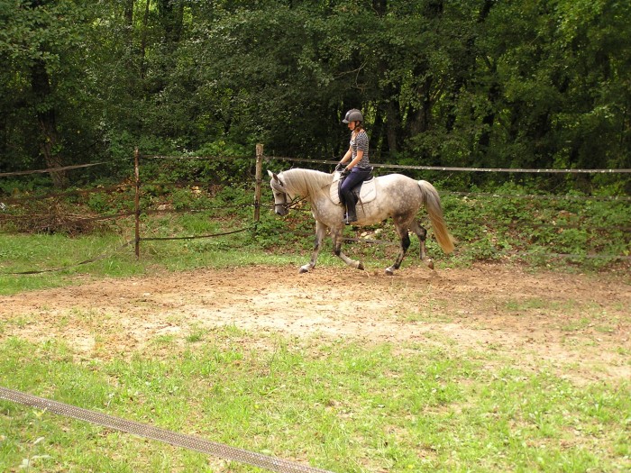 Photo de profil de simpleto