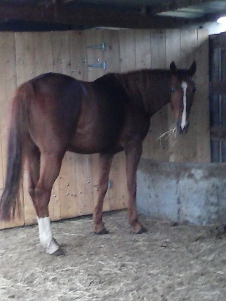 Photo de profil de sissine