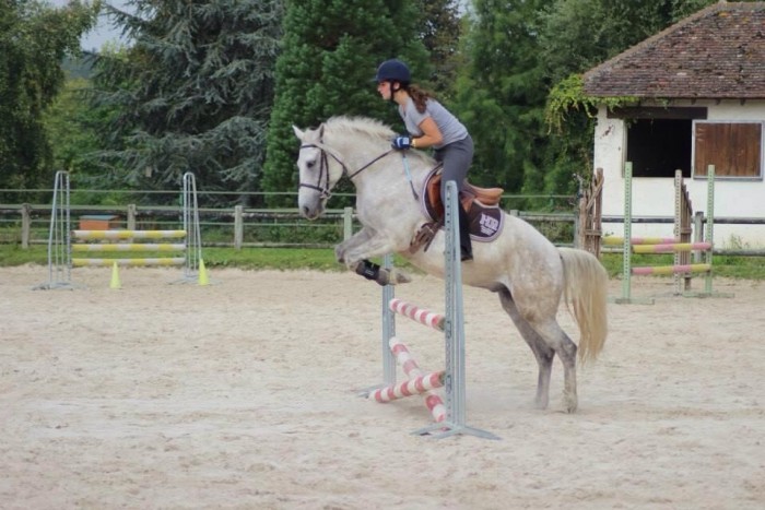 Photo de profil de socrate77