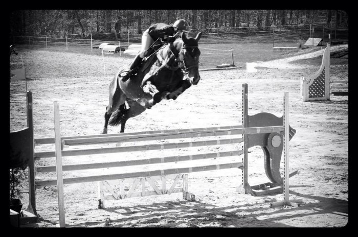 Photo de profil de socrt