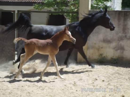 Photo de profil de soleilmimi