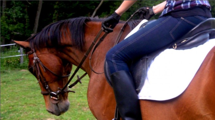 Photo de profil de sophie.lancelot