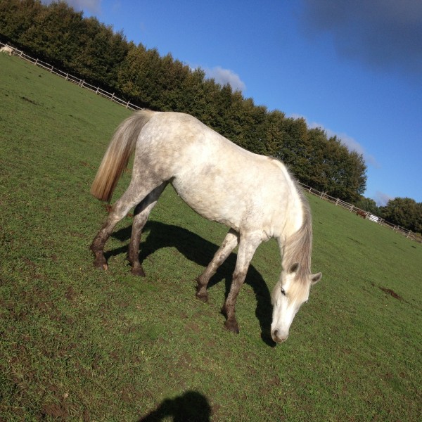 Photo de profil de sophinettederus