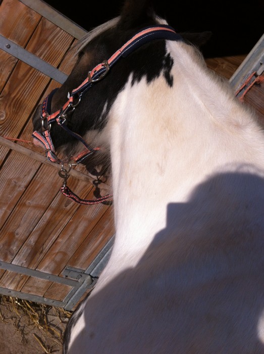 Photo de profil de sosodu80