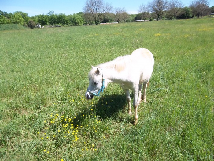 Photo de profil de splash.90130