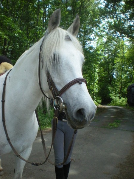 Photo de profil de steephi