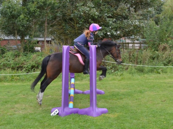 Photo de profil de sue4571