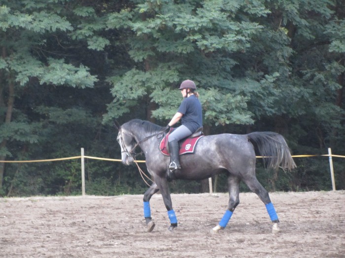 Photo de profil de sunblack