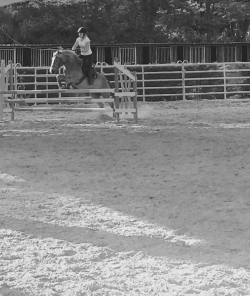 Photo de profil de suziest