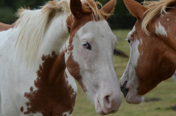 Photo de profil de sviaud