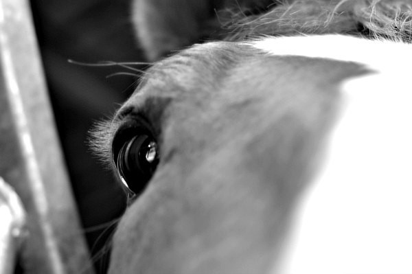 Photo de profil de swing_